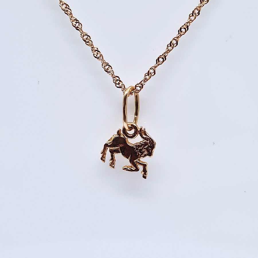 Pakabukas zodiakas Ožiaragis P0026