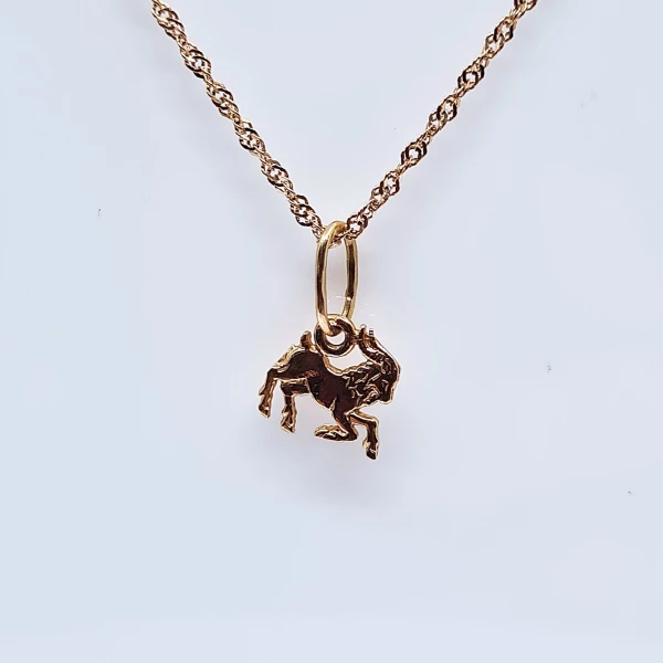 Pakabukas zodiakas Ožiaragis P0026